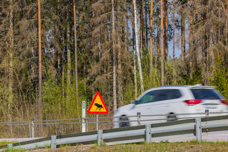Wohngebäudeversicherung und Elementarschäden: Schutz vor Naturgefahren